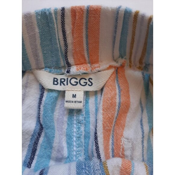 Briggs New York Multicolor Striped High Waist Shorts - Picture 6 of 9